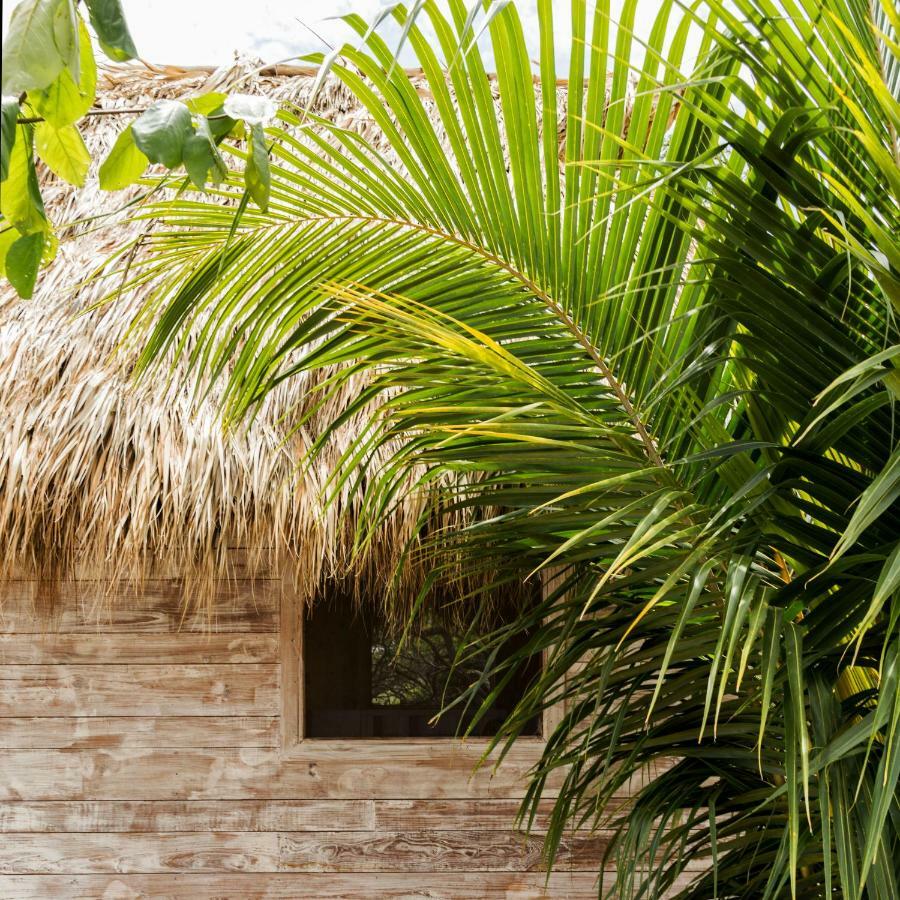 Suyo Cabanas Popoyo | Hotel Suyo El Limon Екстер'єр фото